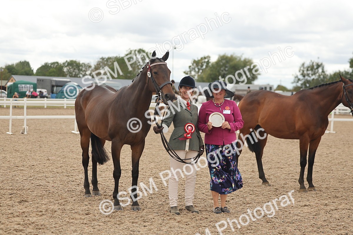SBM_17142 - Class 313 - IH Retired Racehorse
