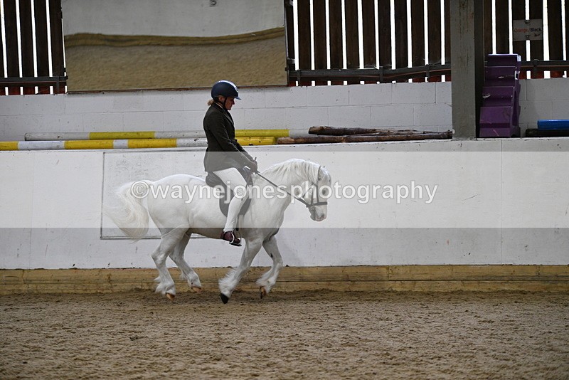 WJ5_6285 - Class 9 Ridden Veteran