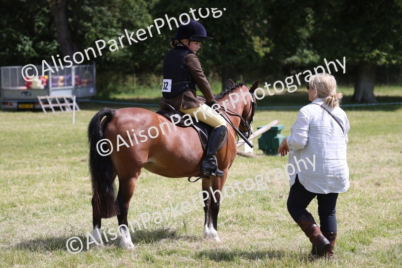 20260614-1755 - Class 21 - Novice Working Hunter Pony