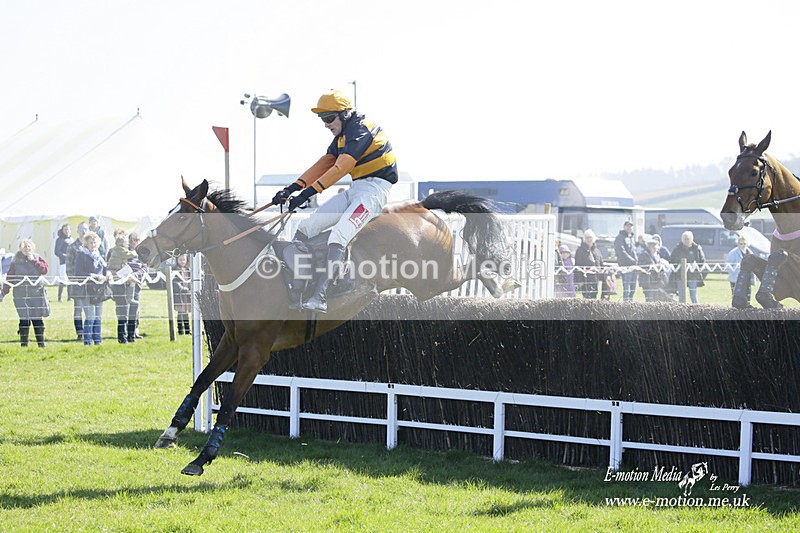 PtP 190322 232 - Wilton Hunt PtP Milborne St Andrew 19/03/22