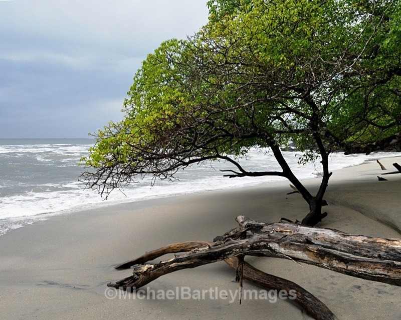 Tropical Beach - Nature as Art