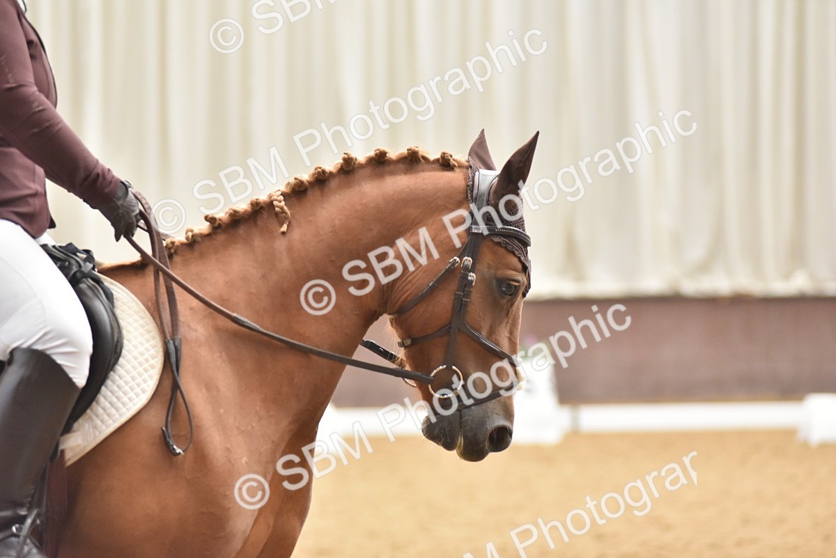 SBM_011323 - Class 5 - Prelim 5