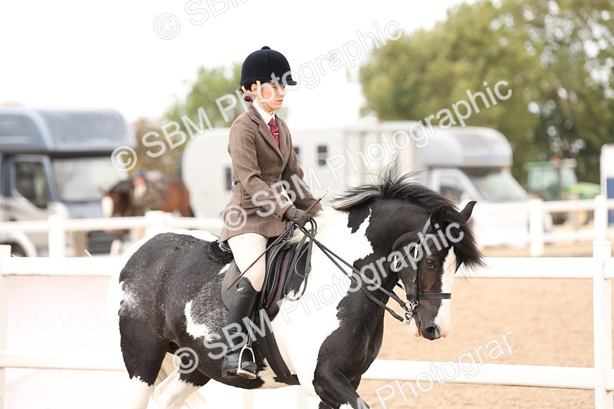 SBM_19624 - Class 216 - Ridden Traditional - Native Cob