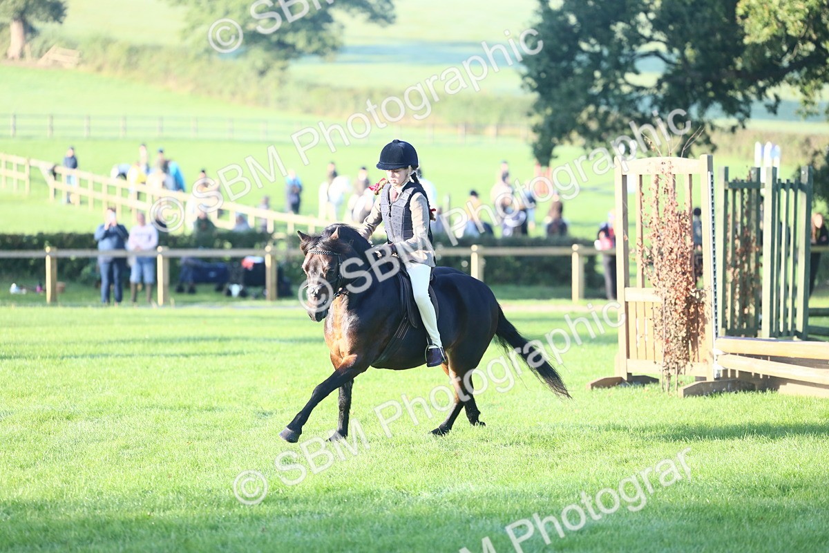 SBM_37318 - S29 - Novice & Newcomers Working Hunter Pony
