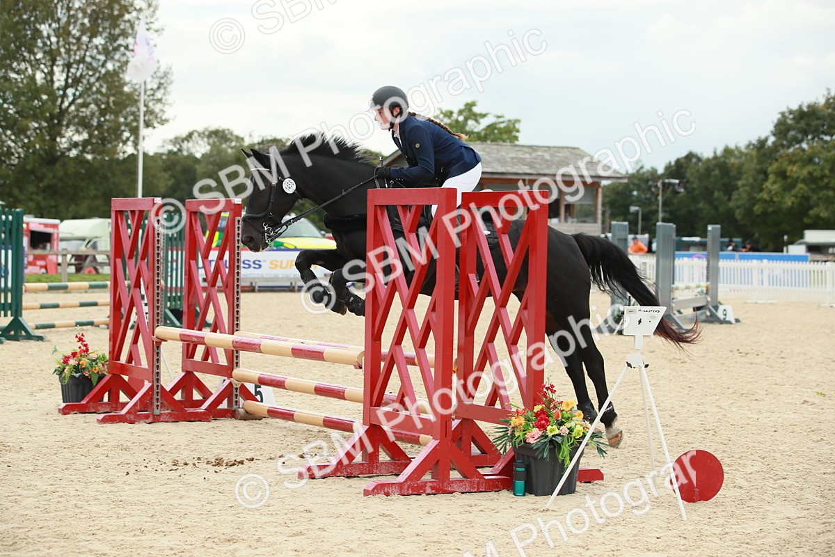 SBM_10131 - J31 Senior 75cm Championship
