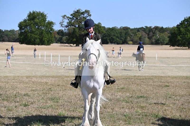 WJ6_7679 - Class 34 Judges Choice