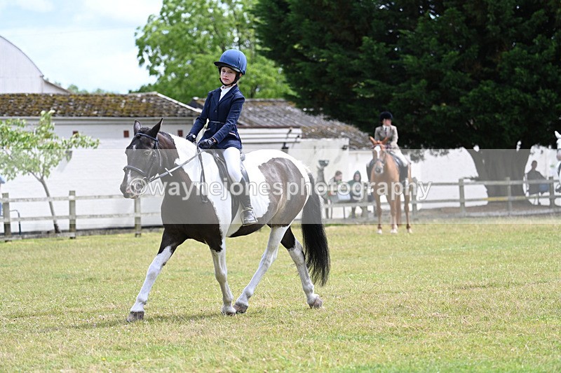 WJ7_9731 - Class 8 Ridden Veterans