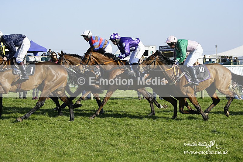 PtP 190322 690 - Wilton Hunt PtP Milborne St Andrew 19/03/22