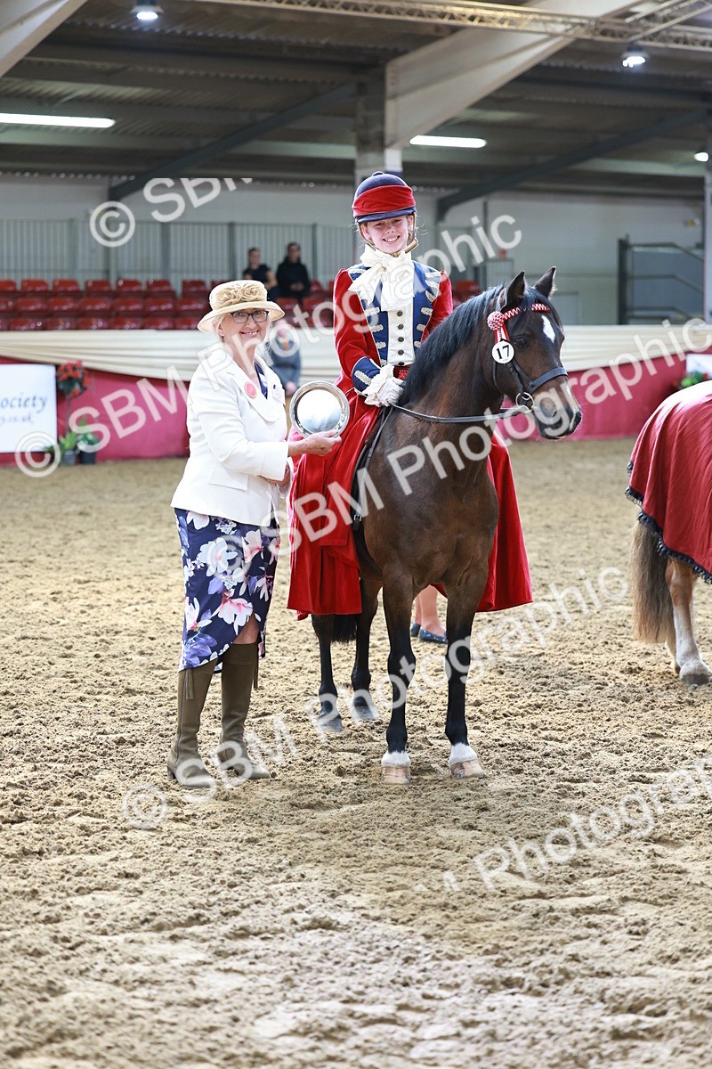 SBM_13494 - Class 104 - Ridden Costume - Astride Junior