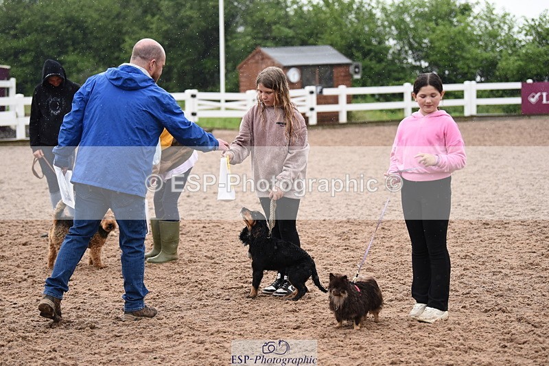 240518A-133002-01312 - Cls 8 Dog the judge would most like to take home