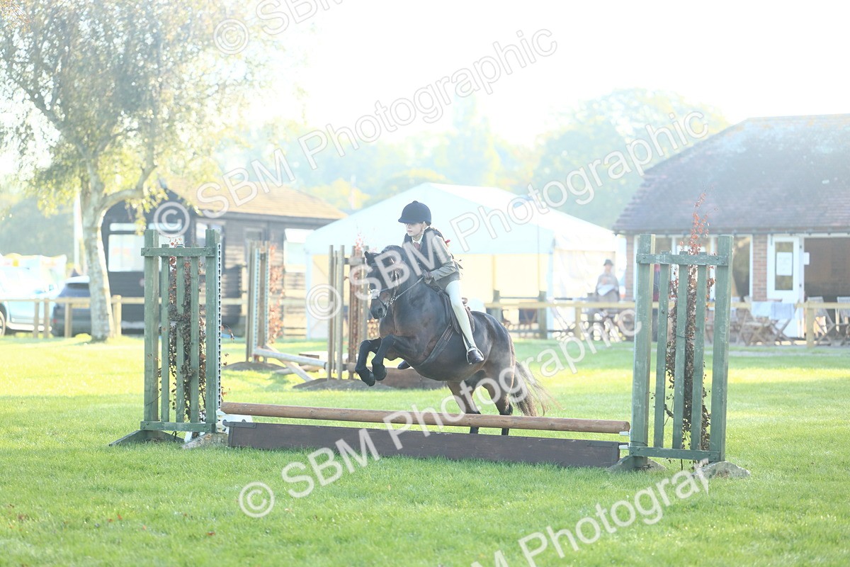 SBM_31920 - S28 - Nursery Stakes Working Hunter Pony
