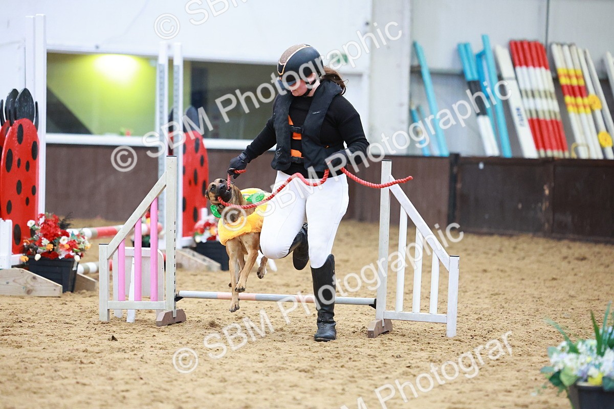 SBM_001720 - Class 3 - Horse & Hound (60cm)