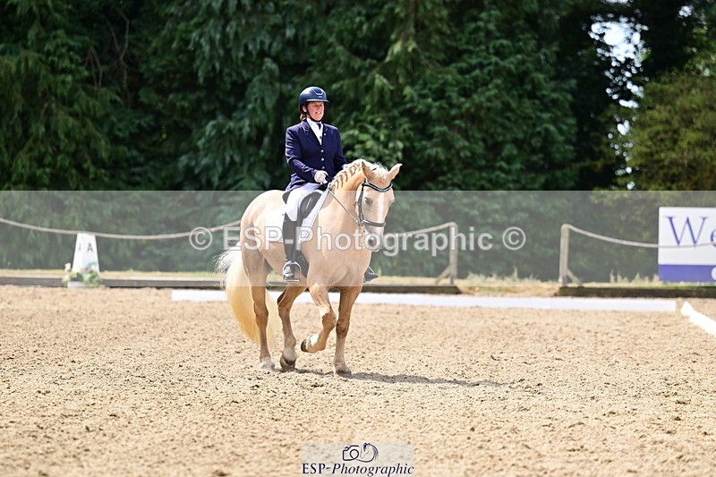 260802A-111313-05742 - Novice Silver break - break