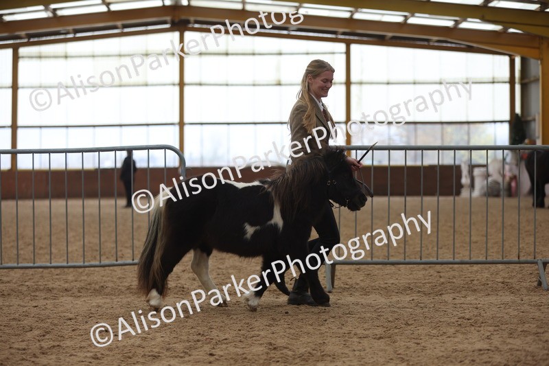 20251109-0444 - Championship