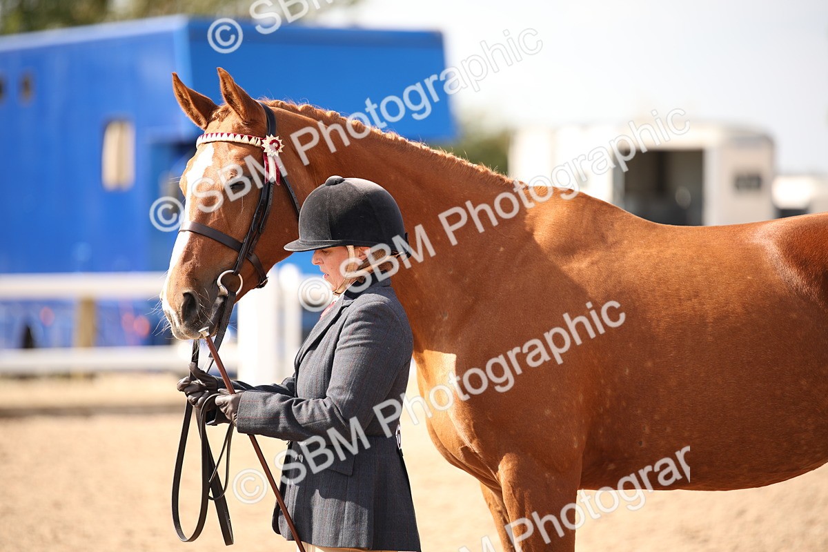 SBM_07083 - Class 25 IH Foreign Breeds- Pure bred
