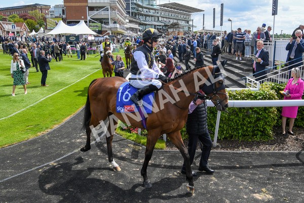 170523-Race 1-Scampi-0113 - Race 1 1.50pm Sky Bet Race To The Ebor Jorvik Handicap