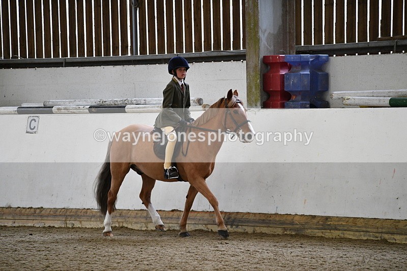WJ5_6501 - Class 10 Childs Pony