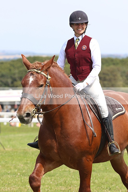 JPP_3511 - Class 15: Heavy Horse Ridden