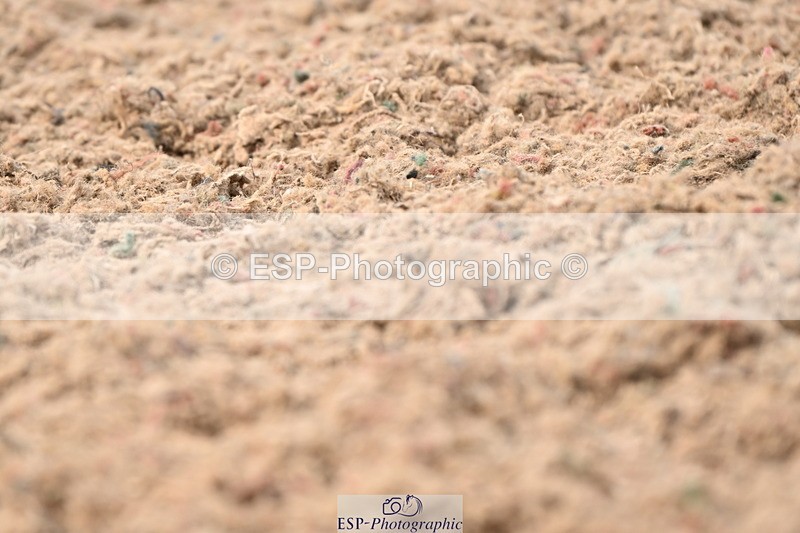 240621A-164040-06059 - Cls 7 Team Quest Prelim 18