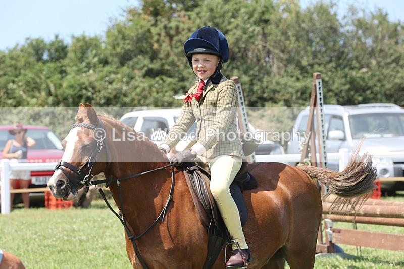 JPP_2923 - Class 21: Working Hunter 60cm