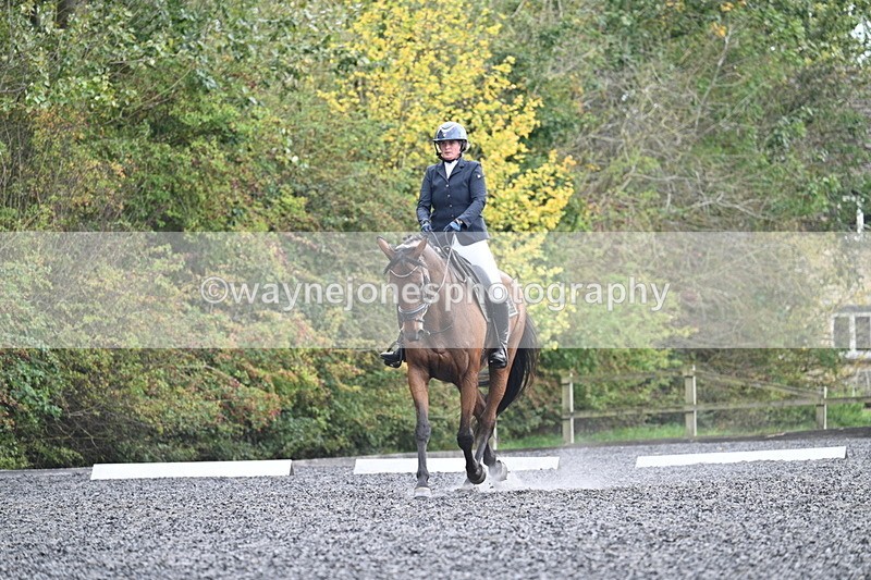 WJ7_6177 - Time 14:10 to 14:45