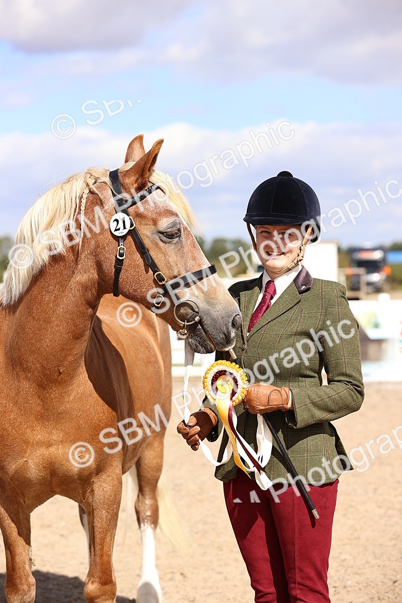 SBM_14324 - Class 411 - Prettiest Mare (IH OR Ridden) Adult