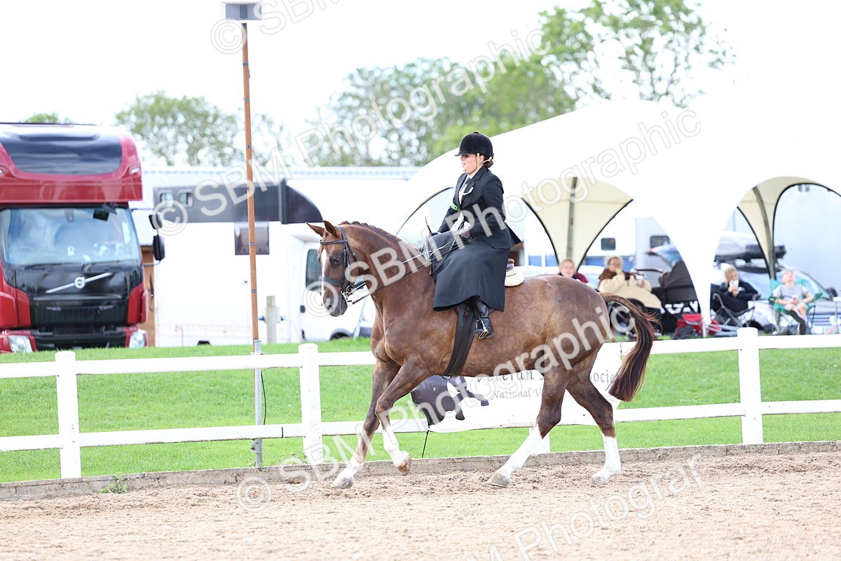 SBM_03206 - Class 22 - SSA Equitation (any age)