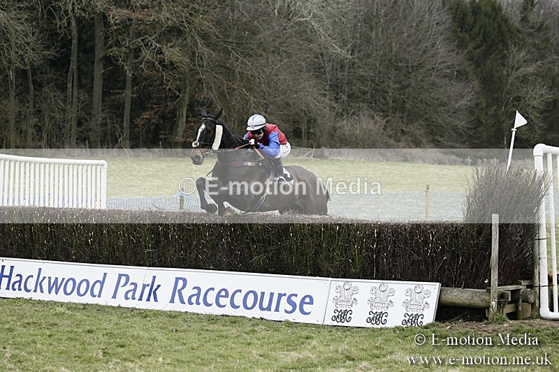 PtP 110318 157 - Hampshire Hunt Point-to-Point Hackwood Park 11/03/18