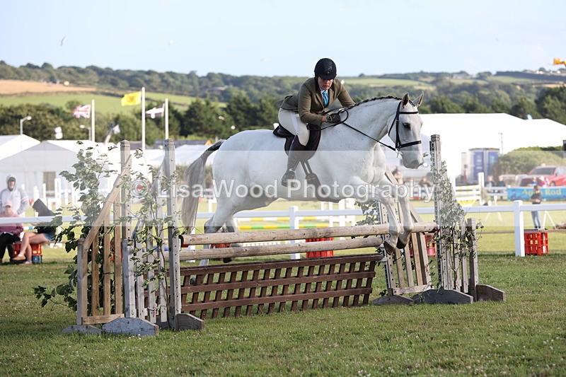 JPP_3483 - Class 22: Working Hunter 90cm