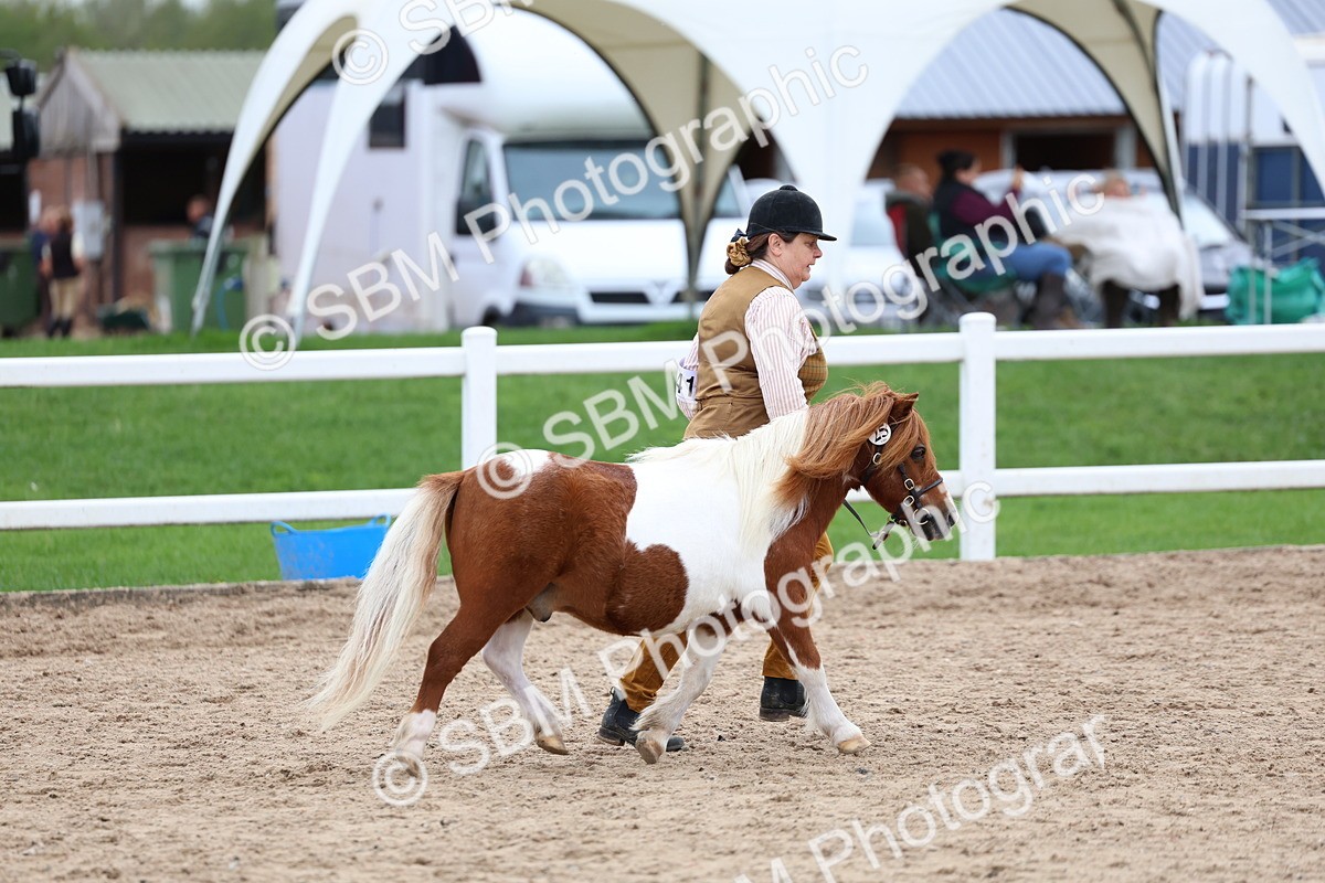 SBM_05912 - Class 29 - IH Veteran Pony