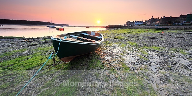 rose tint - At the waters edge gallery