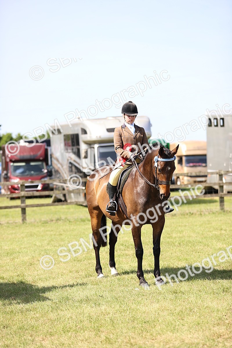 SBM_13077 - Class 75-76 LIHS BSHA Rising Star Hack Riding Horse