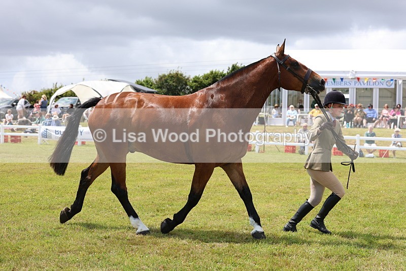 3E7A2245 - Class 10: Open Cob