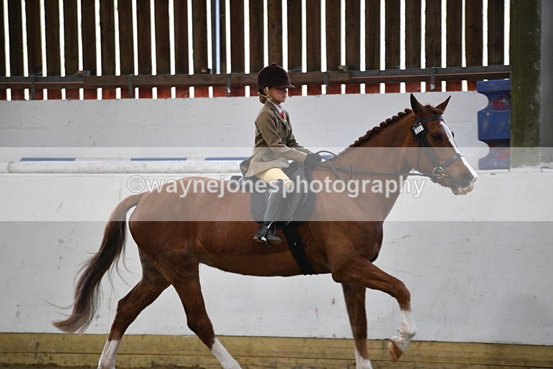 WJ5_6400 - Class 9 Ridden Veteran