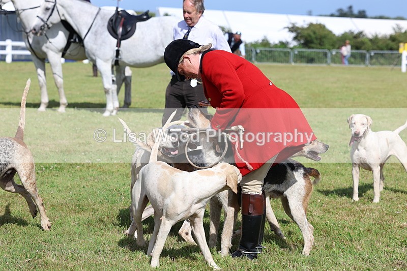 3E7A3408 - Parade of Hounds