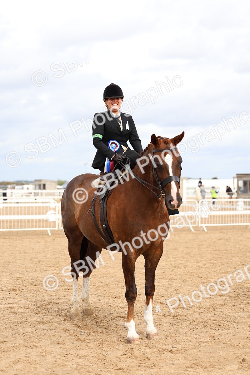 SBM_03474 - Class 24 - SSA Concours d'elegance (any age)