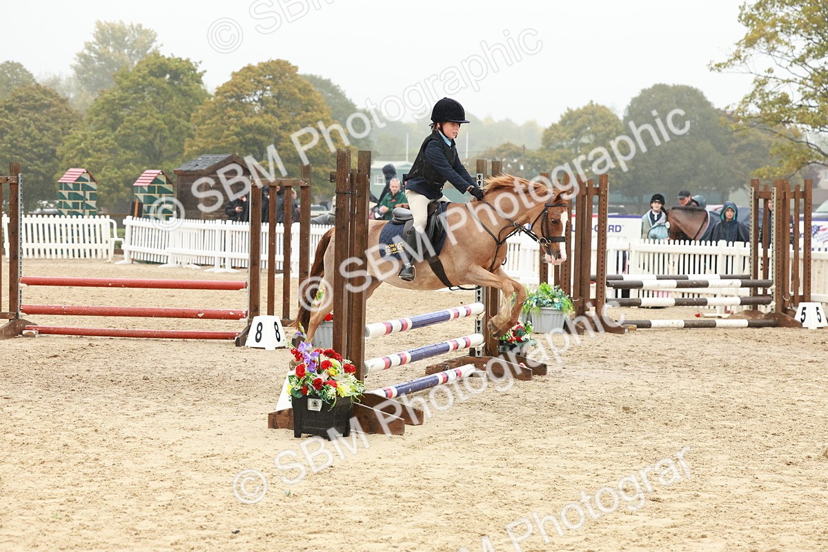 SBM_73340 - Supreme Championship Junior Pony 60cm & 65cm