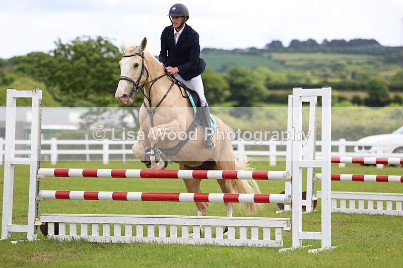 3E7A7639 - Class 13: Senior British Novice/90cm open