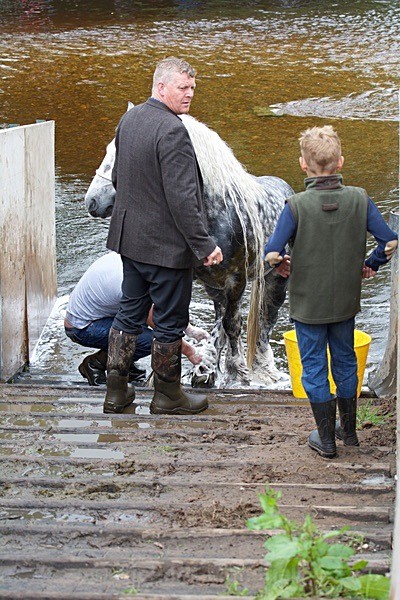  - Appleby Horse Fair