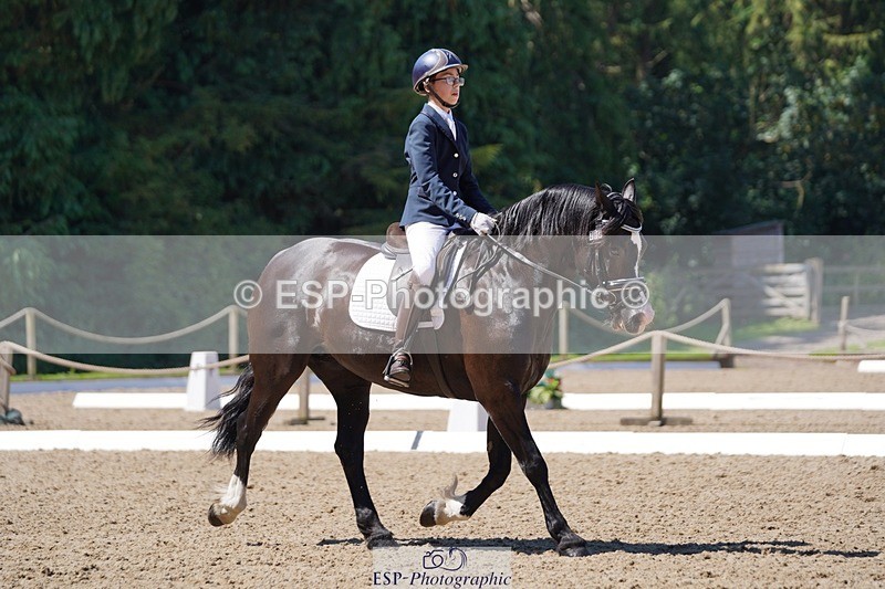 240719-112846-01139 - 282-Edward_Collis-Eglwysfach_Blodwen