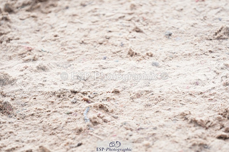 250425-095408-08394 - Cls 30 Young Horse 6yr old