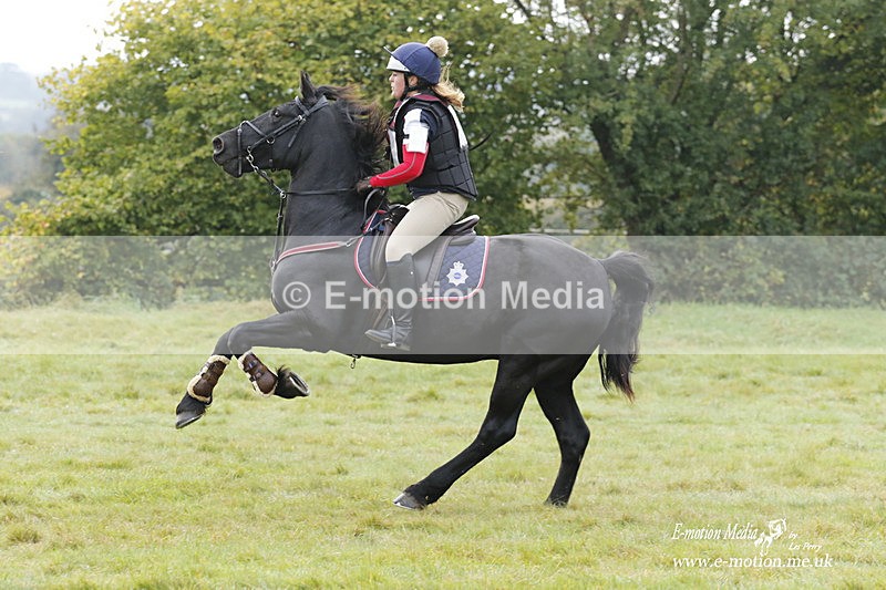  WWHT 171021 0954 - Open Novice (0.80m)  17/10/21