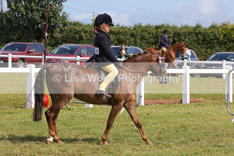 1X9A3718 - Class 30: First Ridden SP/SHP