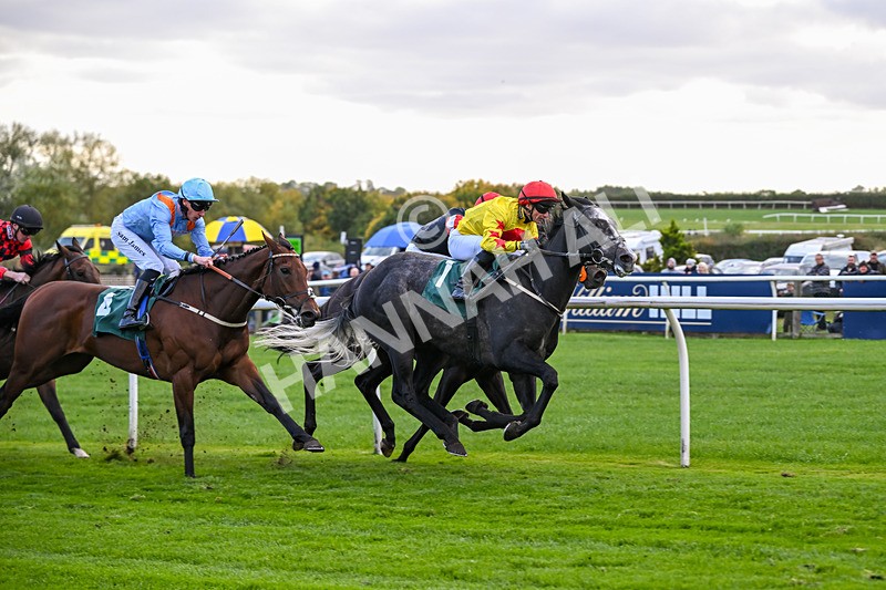 171026-Race 5-Brighton Boy-5979 - Race 5 3.25pm William Hill Epic Boosts Handicap (Div I)