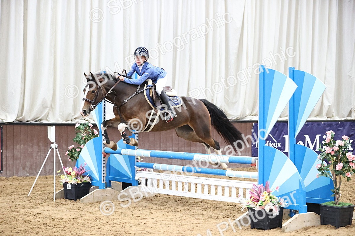 SBM_000257 - Class 2 - Pony British Novice - 80cm Open