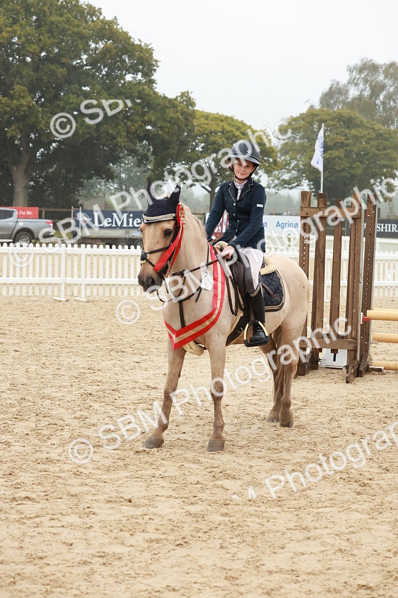 SBM_73501 - Supreme Championship Junior Pony 60cm & 65cm