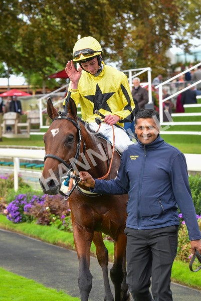 230923-Race 3-Politico-6335 - Race 3 3.10pm Happy 60th Birthday Angela Clark Nursery Handicap