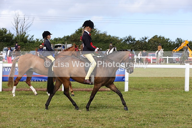 1X9A3937 - Class 31: Show Pony 148cm and under