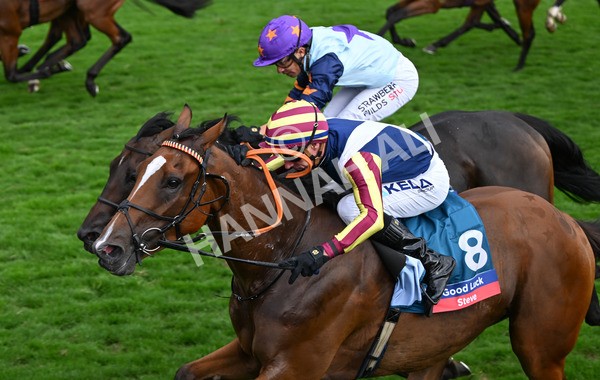230825-287 Dain Ma Nut In - Race 7 5.20pm Sky Bet Steve Birch Finale Handicap