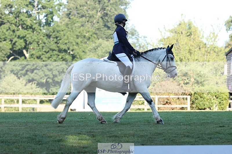 250823A-083519-25733 - Arena D